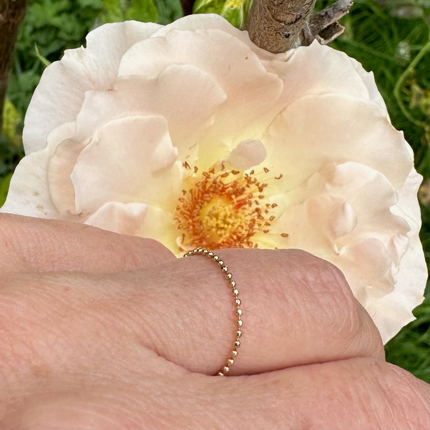 Principessa